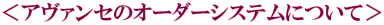 A@Z̃I[_[VXeɂā